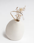 NED Harmie PIPI