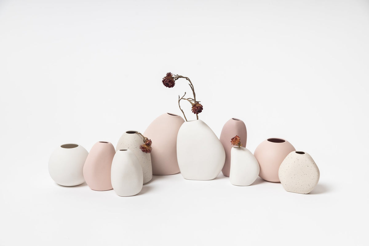 NED Collections